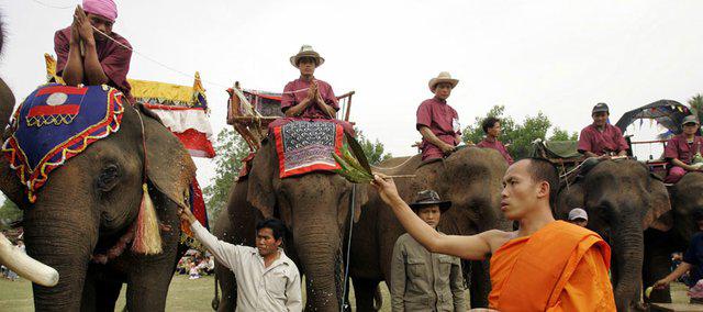 buddhism elephant festival